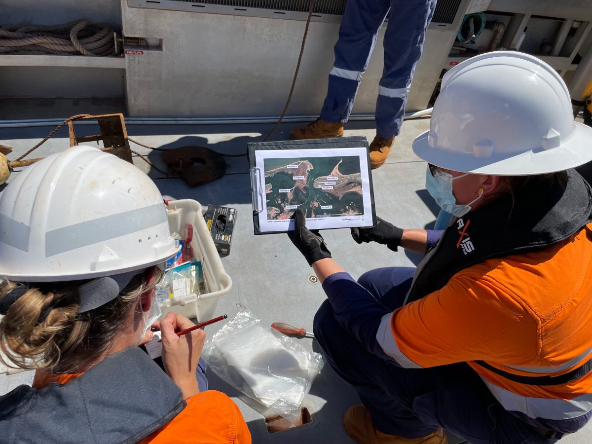 Worldfirst technology protects Port Hedland marine environment PHIC